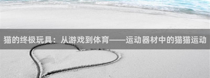 海南熊猫体育官网下载:猫的终极玩具:从游戏到体育——运动器材