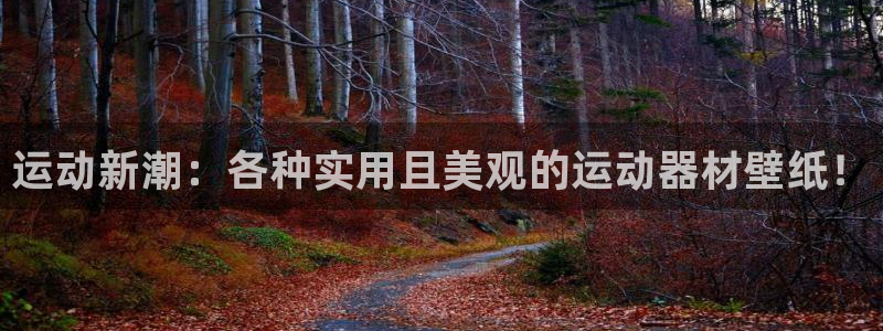 熊猫体育官网下载平台注册要钱吗:运动新潮:各种实用且美观的运