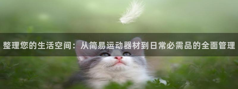 熊猫体育官网下载招商电话号码:整理您的生活空间:从简易运动器