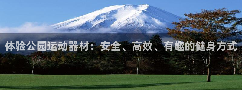 熊猫体育集团E.ON:体验公园运动器材:安全、高效、有趣的健